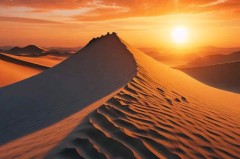 4000万天价吓退曼联！阿莫林留任真相曝光，英超乱世竟成救命稻草